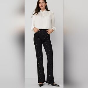 Ann Taylor Embellished Black Women's Denim, Size 18